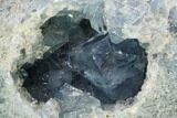 Crystal Filled Celestine (Celestite) Egg Geode - Madagascar #157737-3